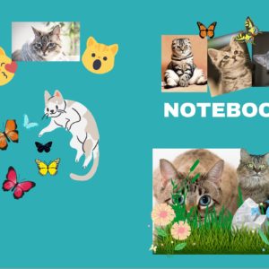 Notebook: Blank line Notebook Hardcover